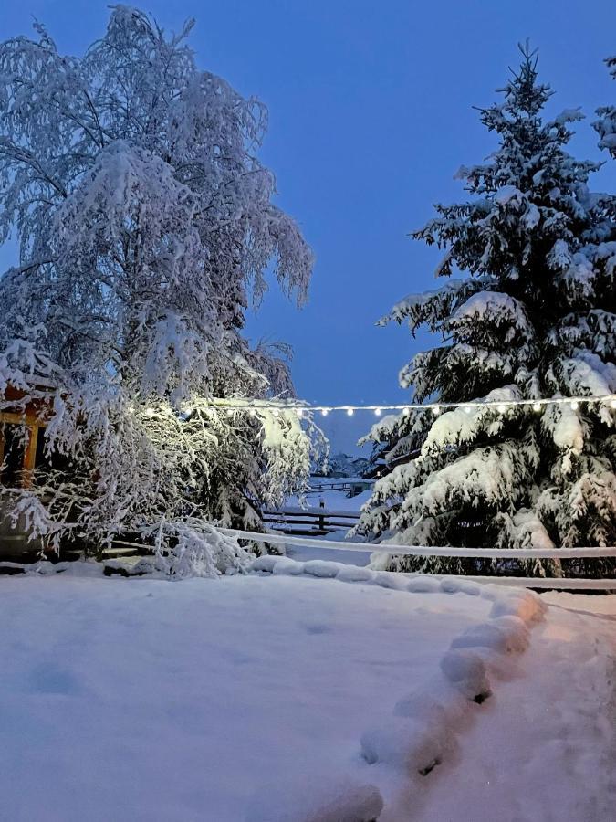 Holiday Raj Бешенёва Экстерьер фото