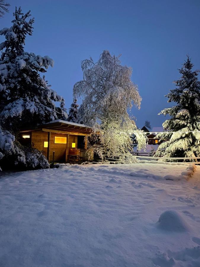Holiday Raj Бешенёва Экстерьер фото
